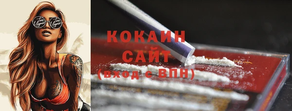 2c-b Горнозаводск