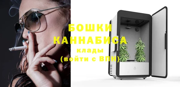 2c-b Горнозаводск