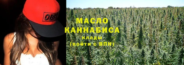 2c-b Горнозаводск