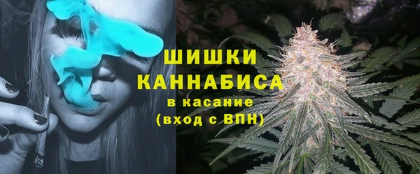 ешки Кирсанов