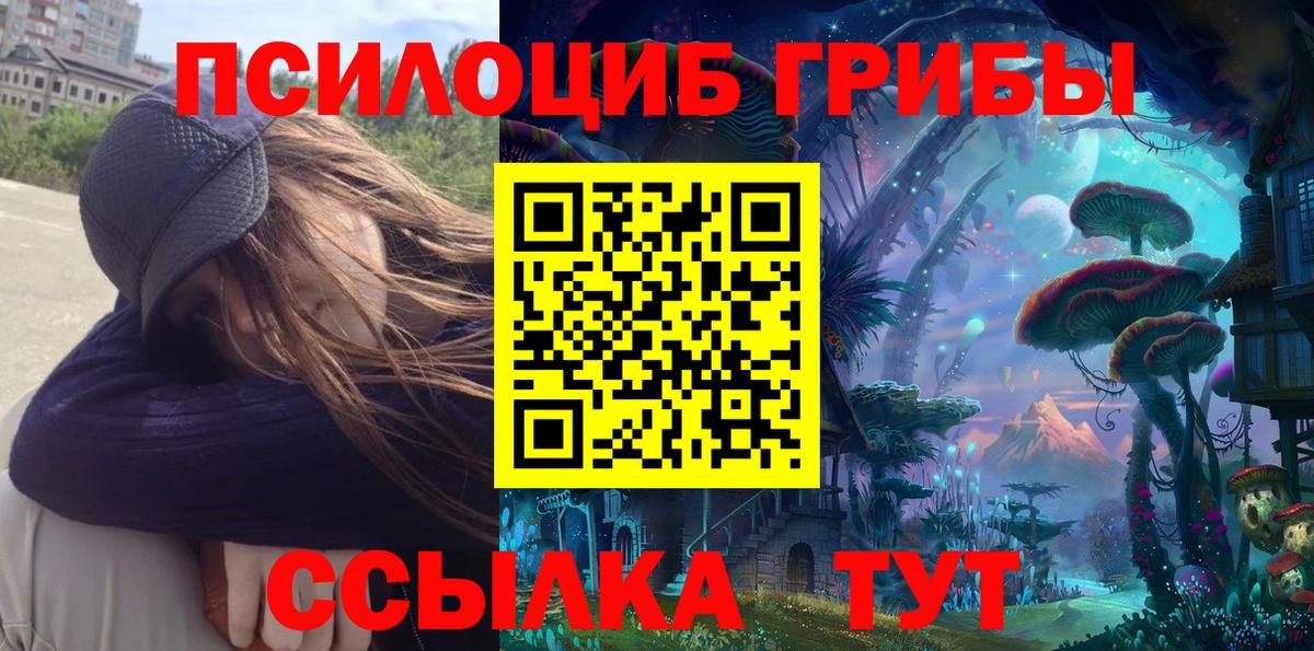 Псилоцибиновые грибы Psilocybine cubensis  Вход с VPN  Осинники  Псилоцибиновые грибы GOLDEN TEACHER 