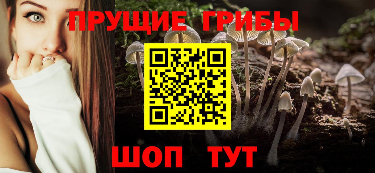 Галлюциногенные грибы мицелий Осинники