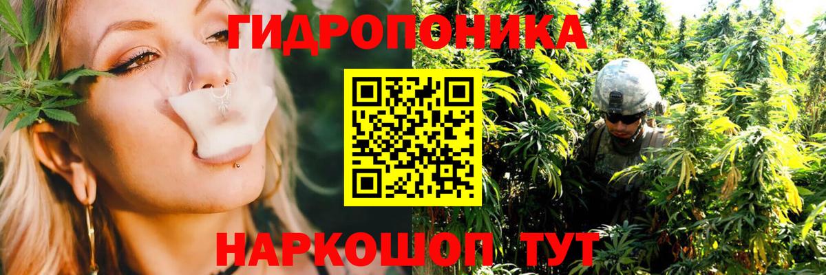 Канабис планчик  Вход с VPN  Каннабис Bruce Banner  Осинники 