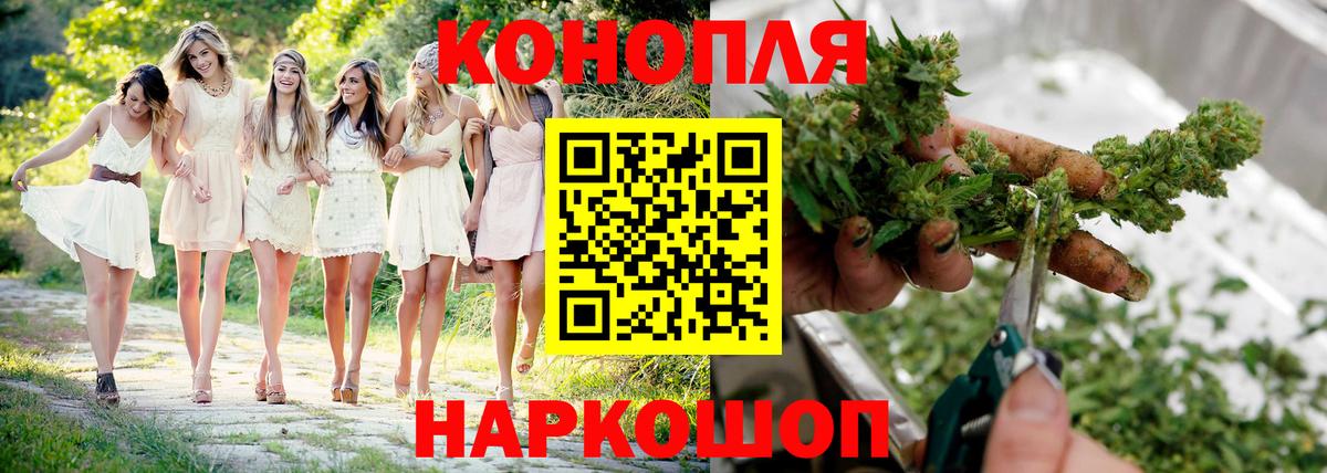 Каннабис индика Осинники